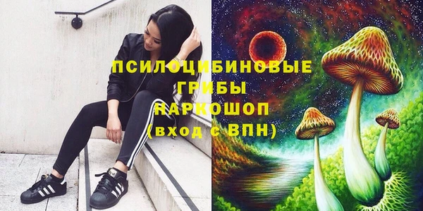 каннабис Арсеньев