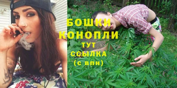 шишки Куйбышев