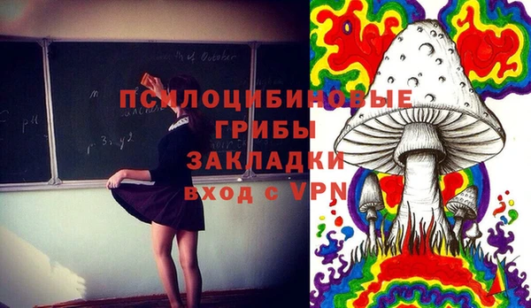 сатива Баксан