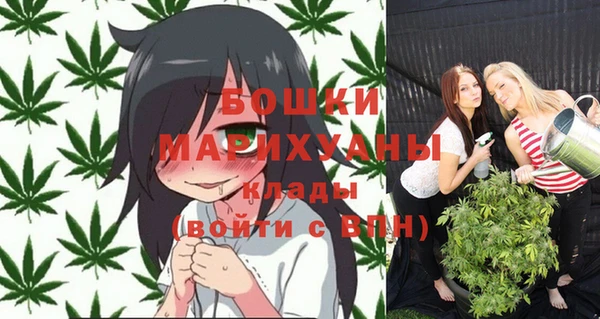 прущие крисы Кулебаки