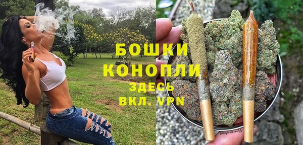 шишки Куйбышев