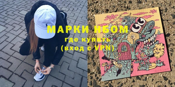 шишки Куйбышев