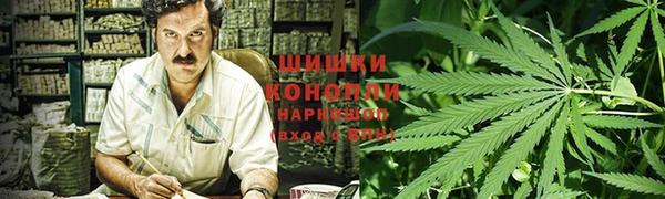 шишки Куйбышев